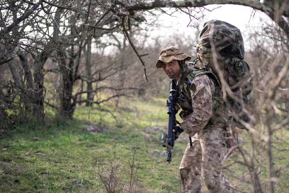 Watching for the enemy