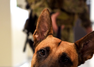 Grand Forks opens new state-of-the-art facility for canines