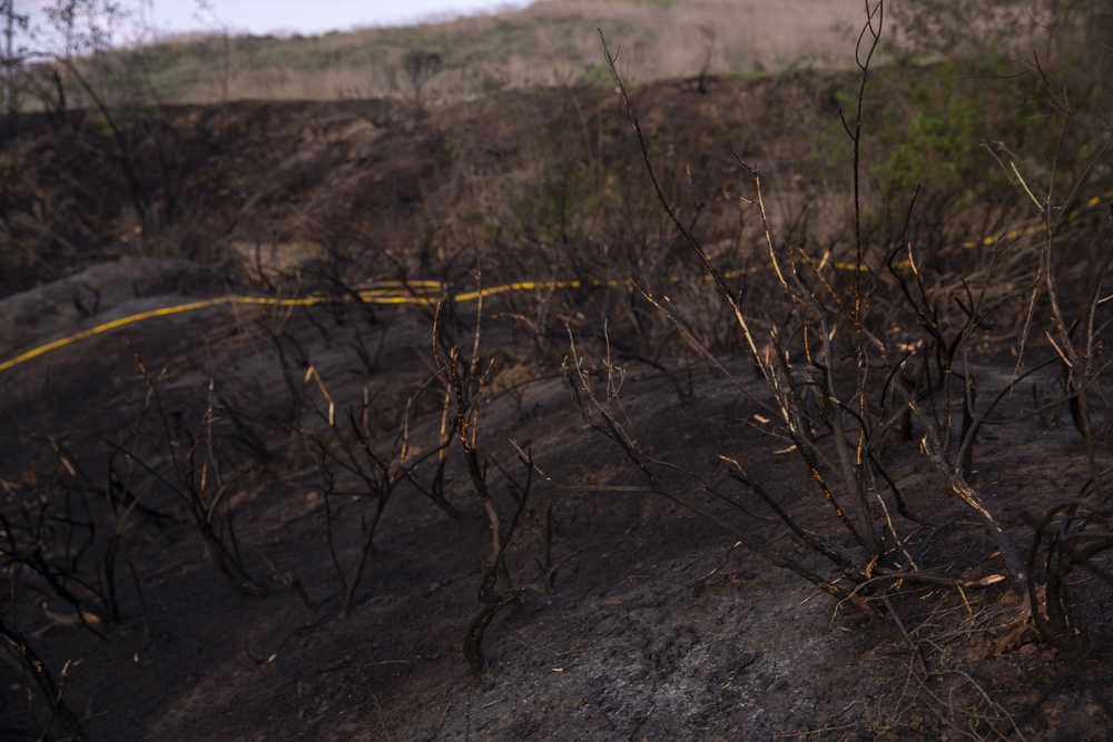 Camp Pendleton fire response