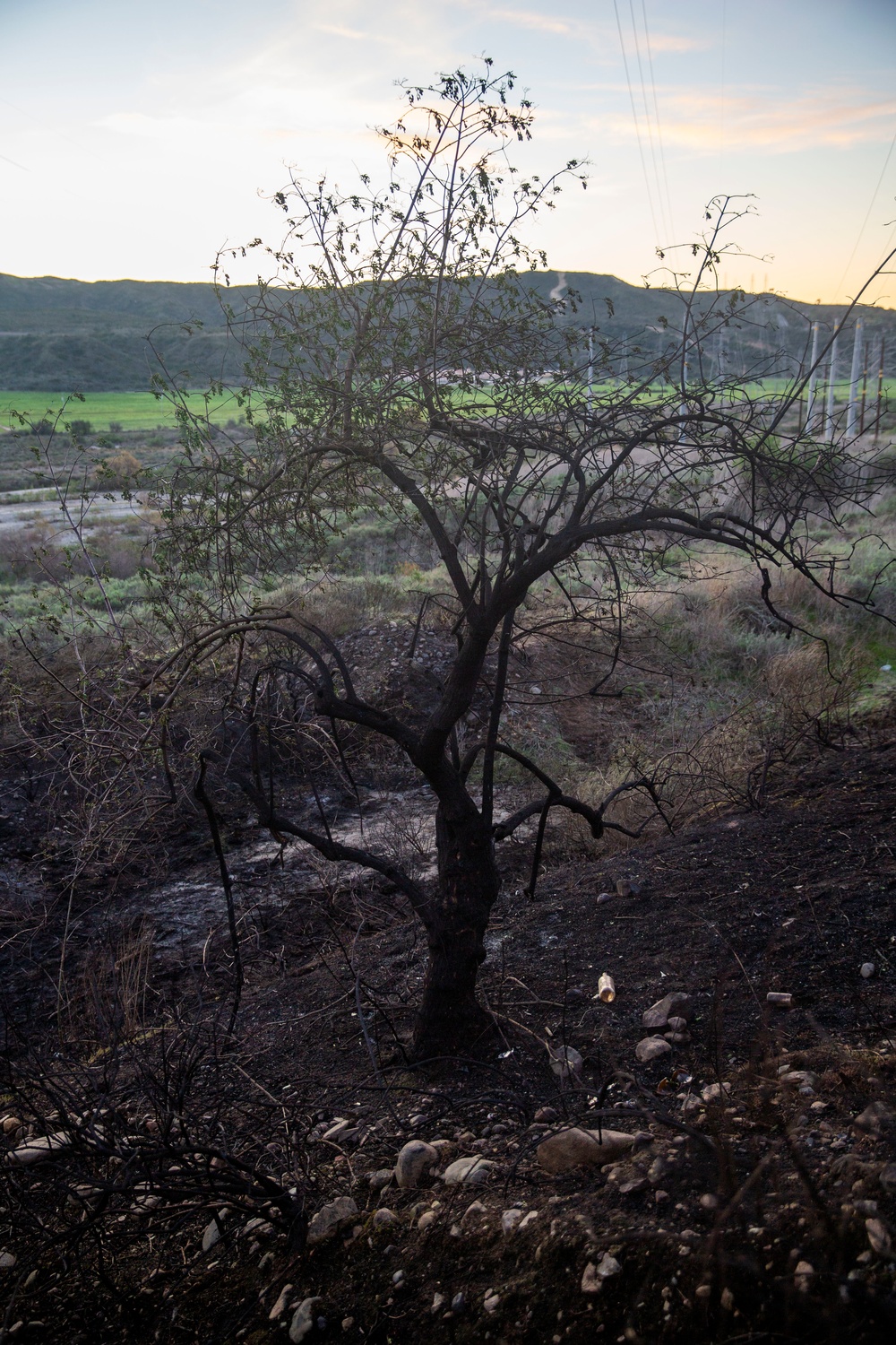 Camp Pendleton fire response