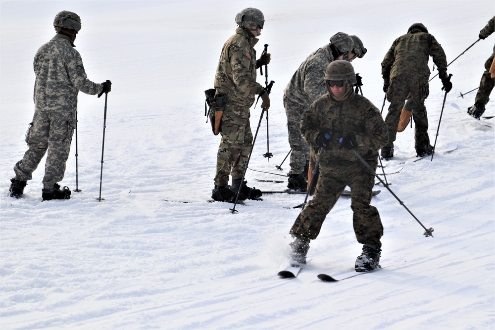 Cold-Weather Operations Course Class 20-02 students learn skiing techniques at Fort McCoy