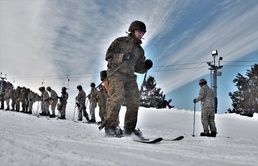 Cold-Weather Operations Course Class 20-02 students learn skiing techniques at Fort McCoy