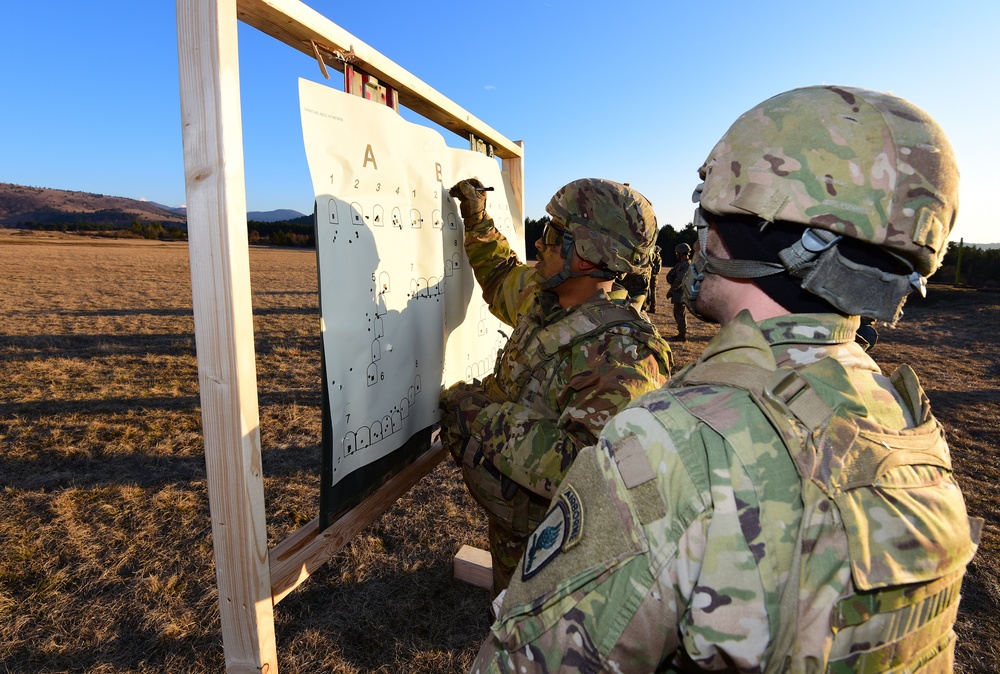 Exercise Lipizzaner VI
