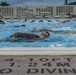 Marines, sailors endure water survival advanced training