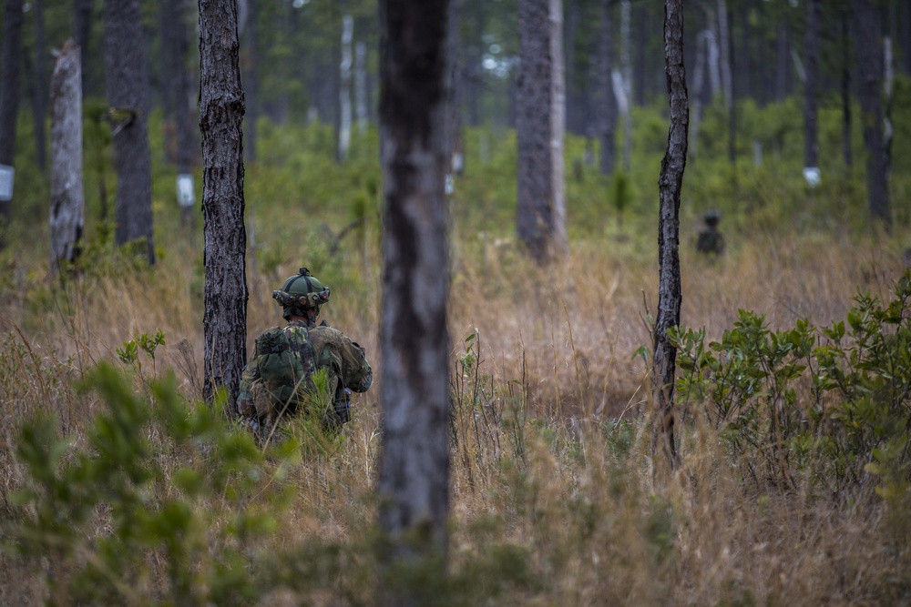 32nd Raiding Squadron and 2nd LE BN Conduct Dutch Bilateral Training