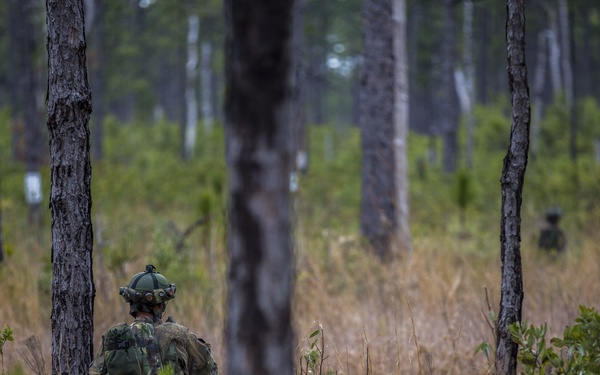 32nd Raiding Squadron and 2nd LE BN Conduct Dutch Bilateral Training