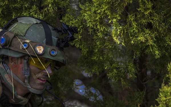 32nd Raiding Squadron and 2nd LE BN Conduct Dutch Bilateral Traini