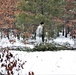 Cold-Weather Operations Course Class 20-02 students conduct field ops, improvised shelter construction
