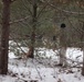 Cold-Weather Operations Course Class 20-02 students conduct field ops, improvised shelter construction