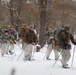 Cold-Weather Operations Course Class 20-02 students conduct field ops, improvised shelter construction