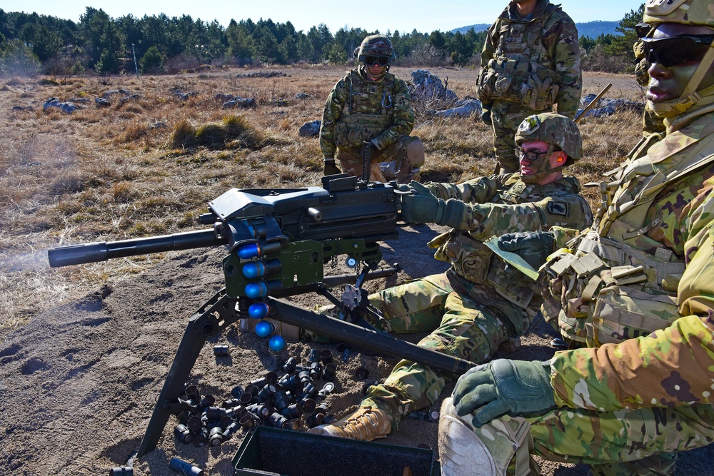 Exercise Lipizzaner VI