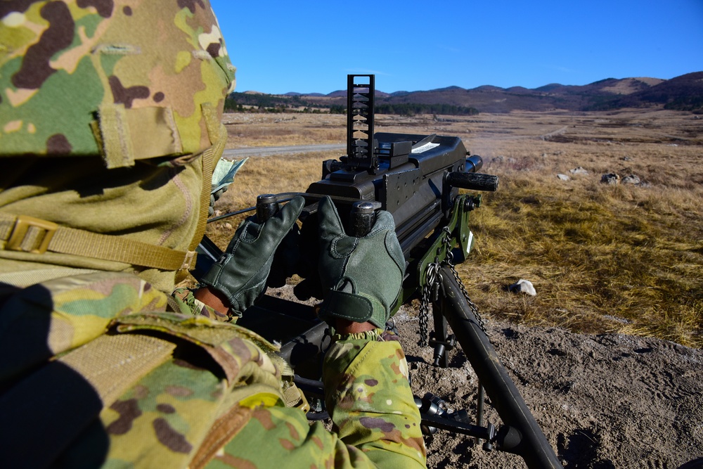 Exercise Lipizzaner VI