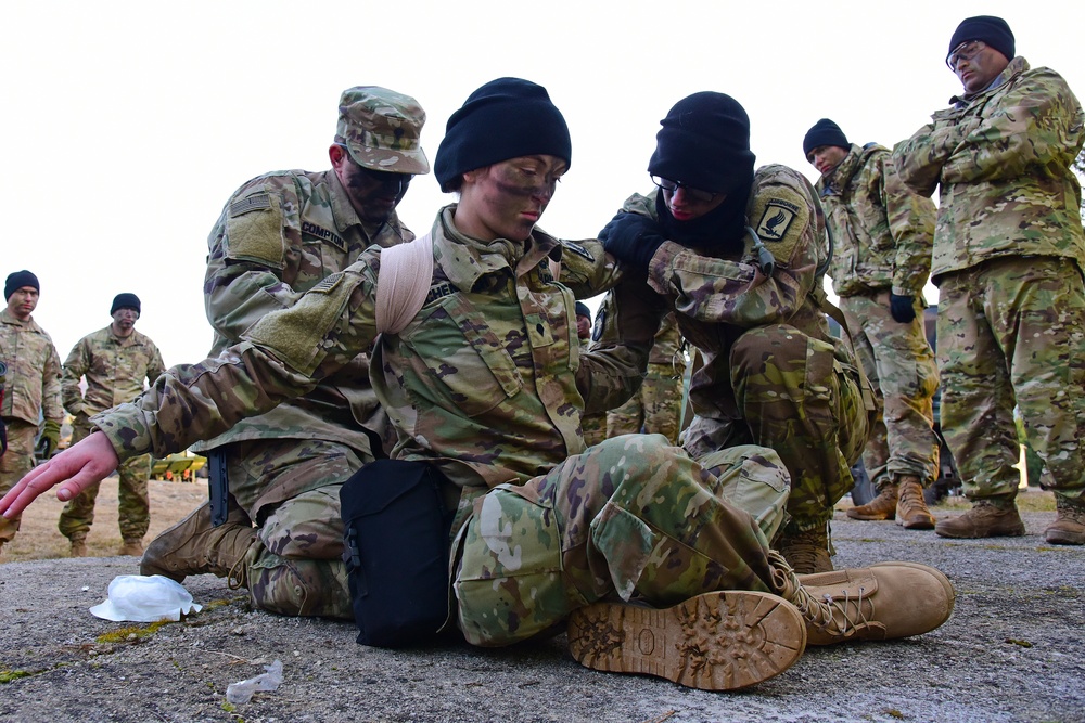 Exercise Lipizzaner VI