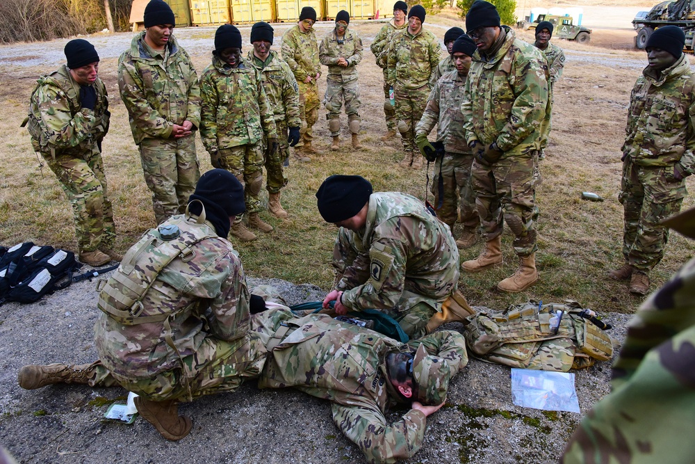 Exercise Lipizzaner VI