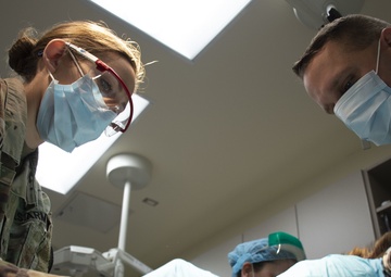 Army Veterinarian Lends a Paw to Your Pets on NBK Bangor