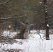 Cold-Weather Operations Course Class 20-02 students conduct field ops, improvised shelter construction