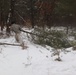 Cold-Weather Operations Course Class 20-02 students conduct field ops, improvised shelter construction
