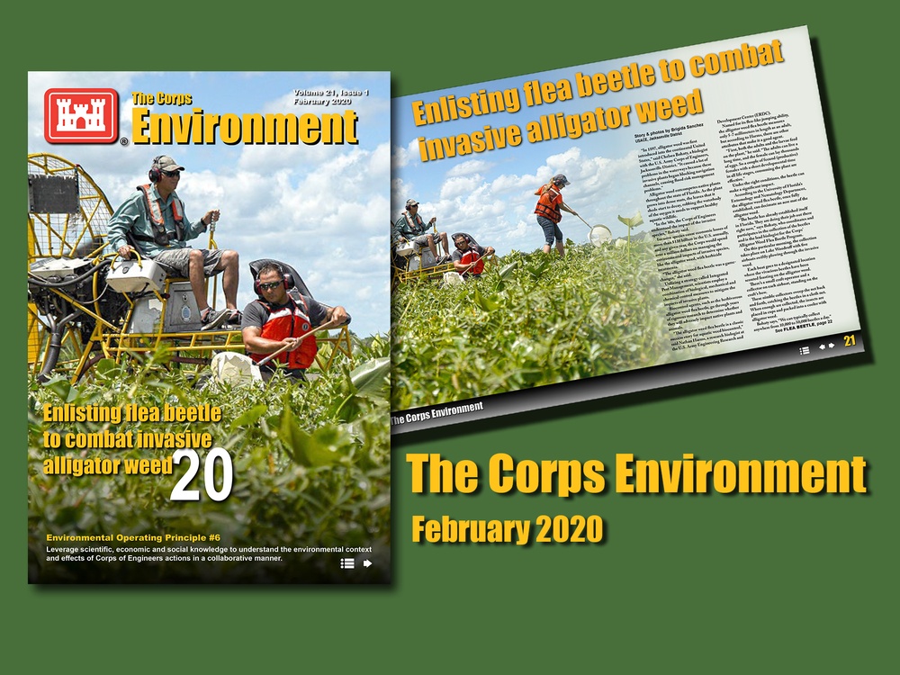 The Corps Environment - February 2020