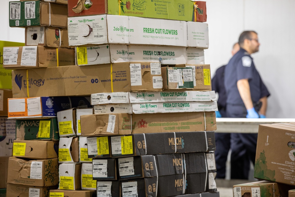 CBP agriculture specialists inspect cut flowers prior to Valentine’s Day