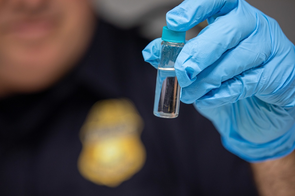 CBP agriculture specialists inspect cut flowers prior to Valentine’s Day