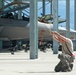 Fifth-gen aircraft unite in Hawaii, take on Alaska ‘Aggressors’
