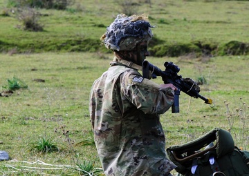 Exercise Rock Topside 2020