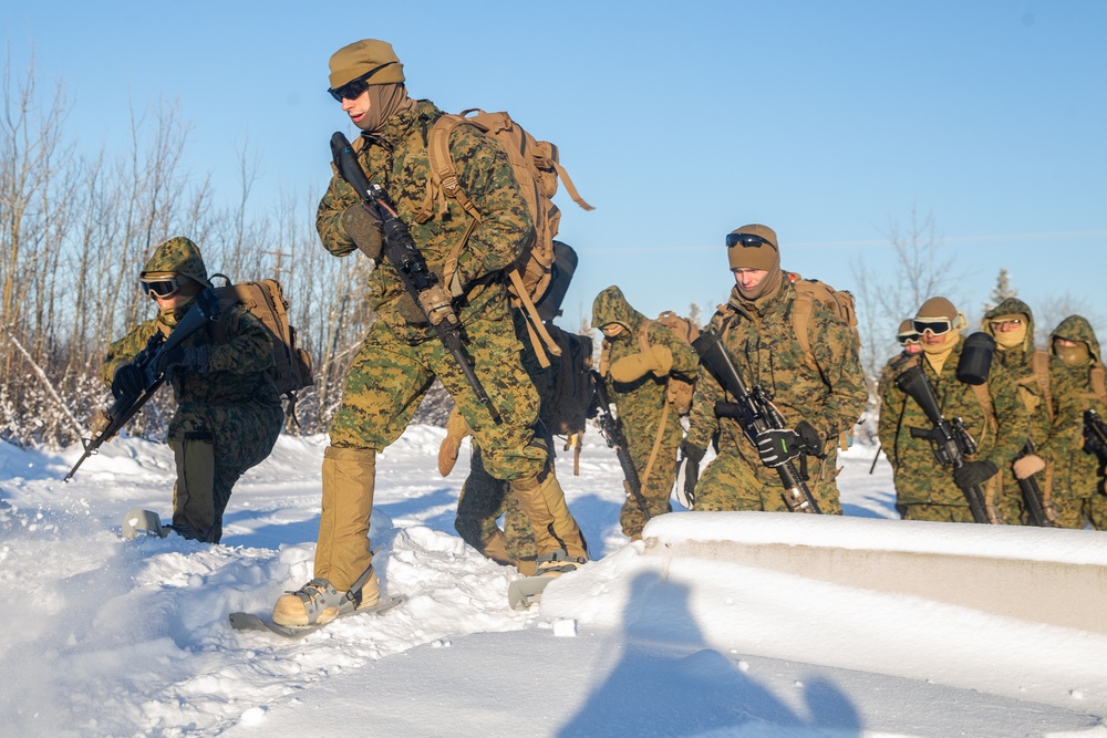 2nd LAAD Marines hike during Exercise Artic Edge 20