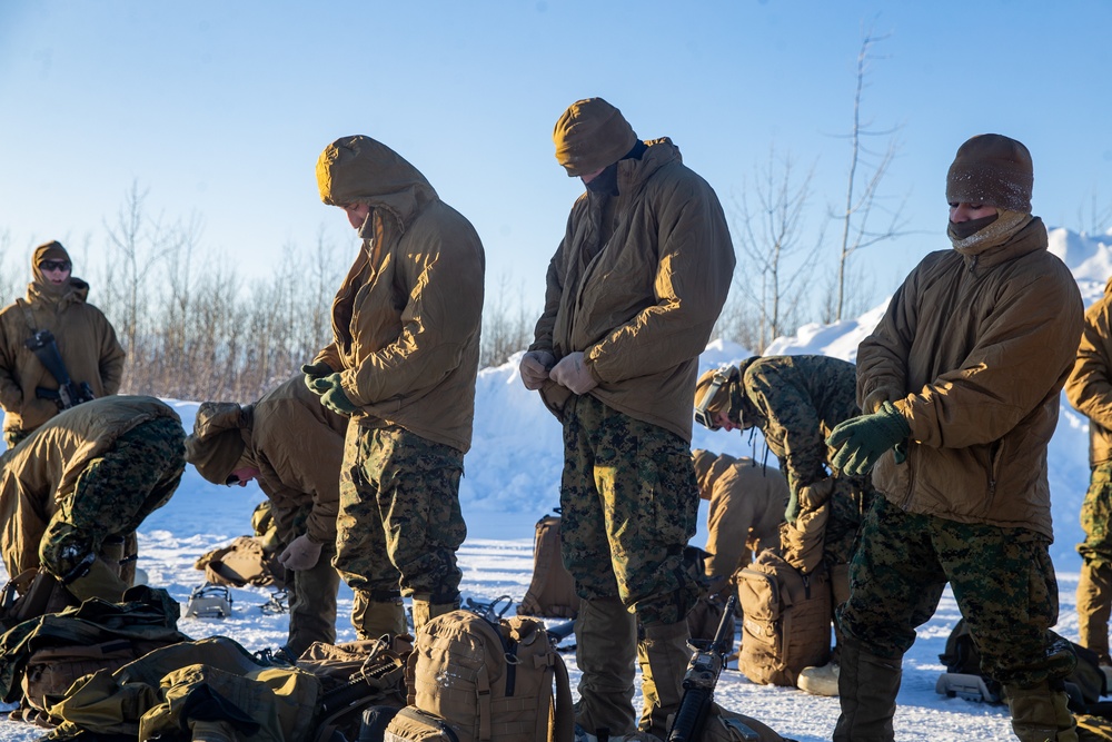 2nd LAAD Marines hike during Exercise Artic Edge 20