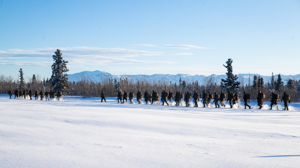 2nd LAAD Marines hike during Exercise Artic Edge 20