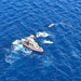 Coast Guard, Ocean Safety rescues two boaters off Hawaii