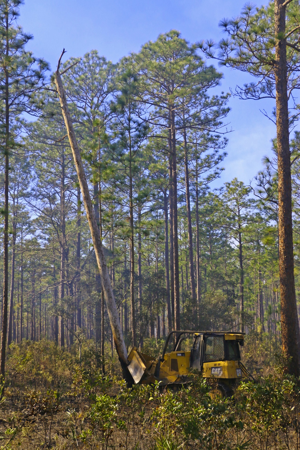 Controlled burns improve training areas, habitats, prevent wildfires