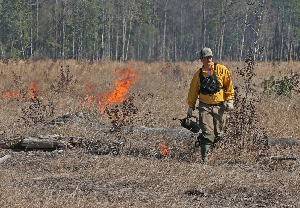Controlled burns improve training areas, habitats, prevent wildfires