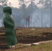 Controlled burns improve training areas, habitats, prevent wildfires