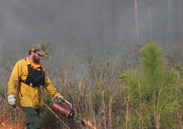 Controlled burns improve training areas, habitats, prevent wildfires
