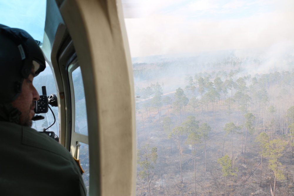 Controlled burns improve training areas, habitats, prevent wildfires
