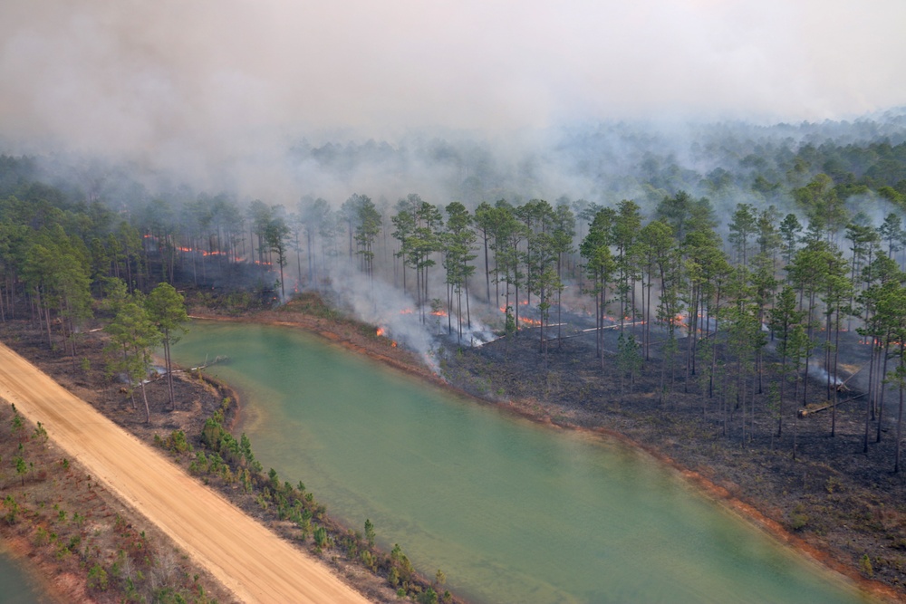 Controlled burns improve training areas, habitats, prevent wildfires