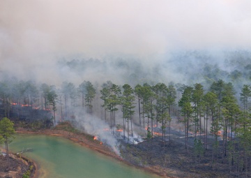 Controlled burns improve training areas, habitats, prevent wildfires