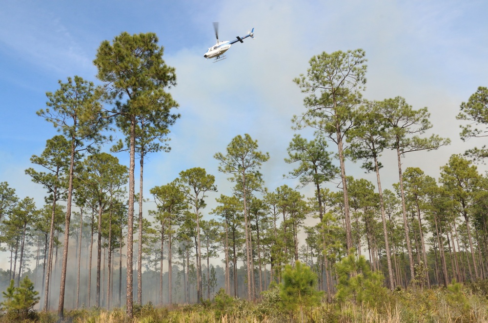 Controlled burns improve training areas, habitats, prevent wildfires