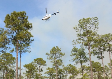 Controlled burns improve training areas, habitats, prevent wildfires