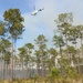 Controlled burns improve training areas, habitats, prevent wildfires