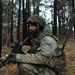 Defensive Attacks Simulation during Combined Resolve XIII
