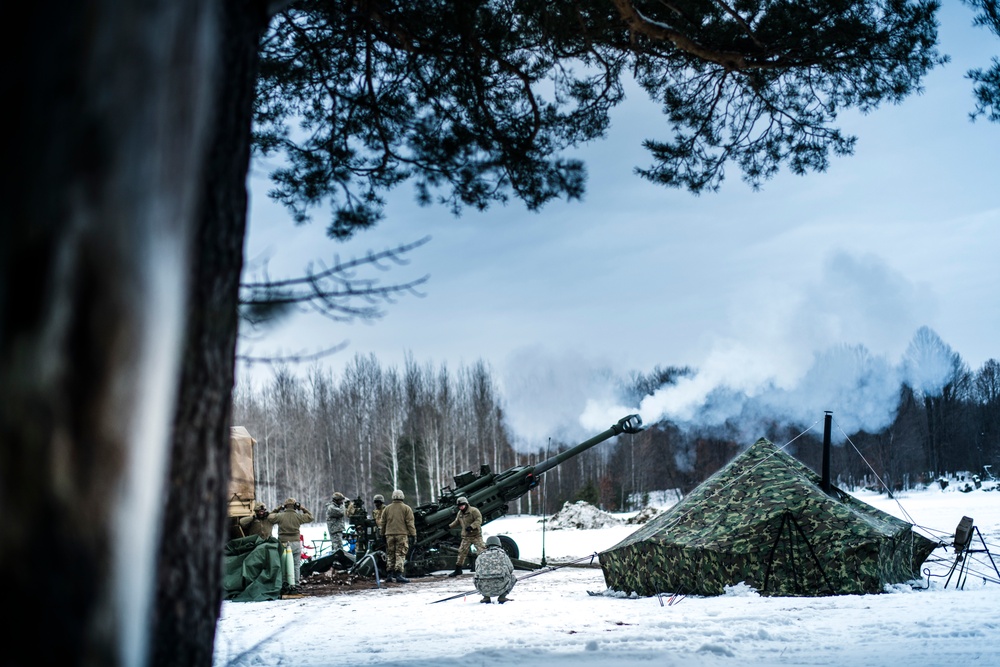 Wisconsin National Guard field artillery conducts winter training during Northern Strike 20-2