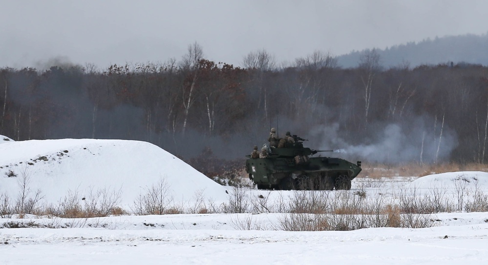 U.S. Marines and JGSDF Watch a Live Fire Demonstration At Northern Viper 2020