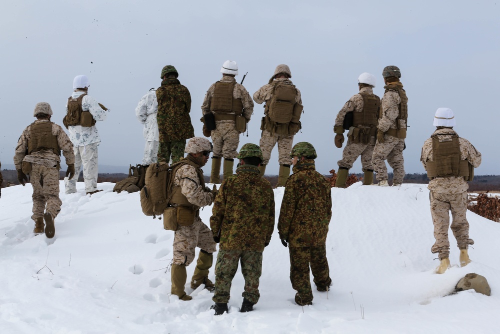 U.S. Marines and JGSDF Watch A Live Fire Demonstration At Northern Viper 2020