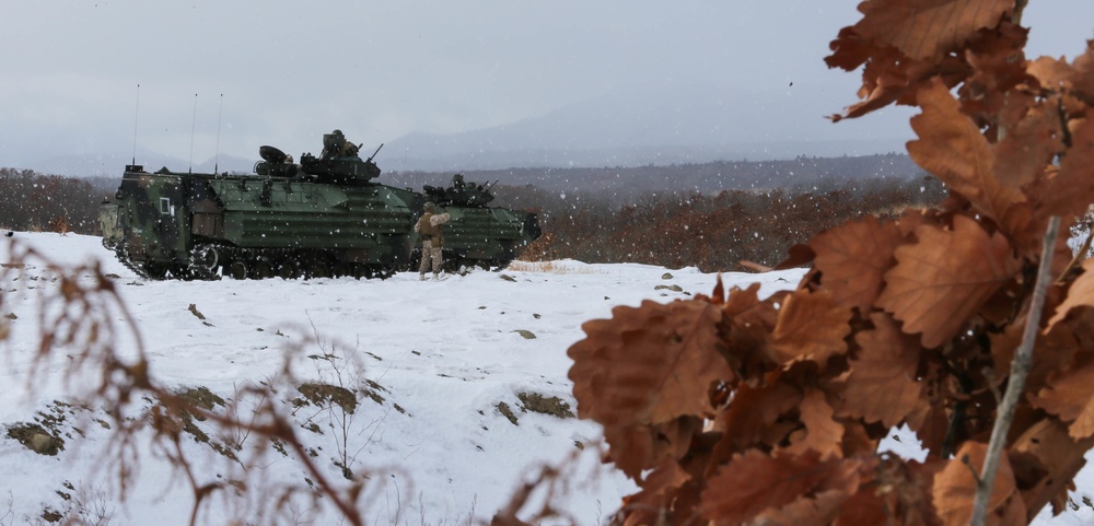 U.S. Marines and JGSDF Watch A Live Fire Demonstration At Northern Viper 2020