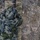 Special Tactics Airmen conduct weapons training during EW 20-1
