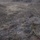 Special Tactics Airmen conduct weapons training during EW 20-1