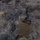 Special Tactics Airmen conduct weapons training during EW 20-1