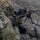 Special Tactics Airmen conduct weapons training during EW 20-1