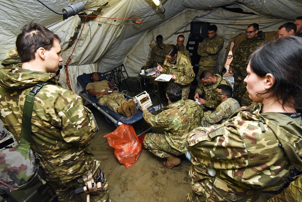 Exercise Lipizzaner VI